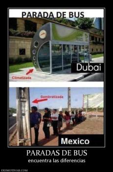 PARADAS DE BUS encuentra las diferencias