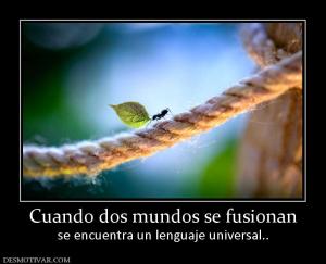 Cuando dos mundos se fusionan se encuentra un lenguaje universal..