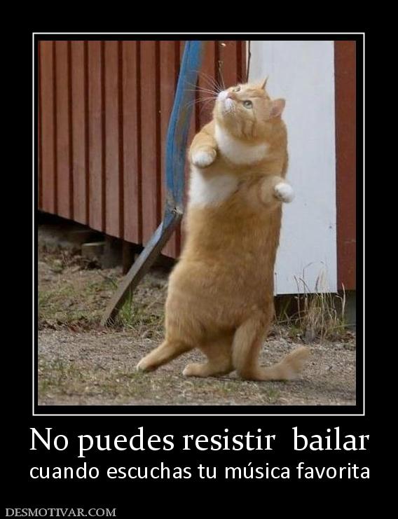 No puedes resistir  bailar cuando escuchas tu música favorita
