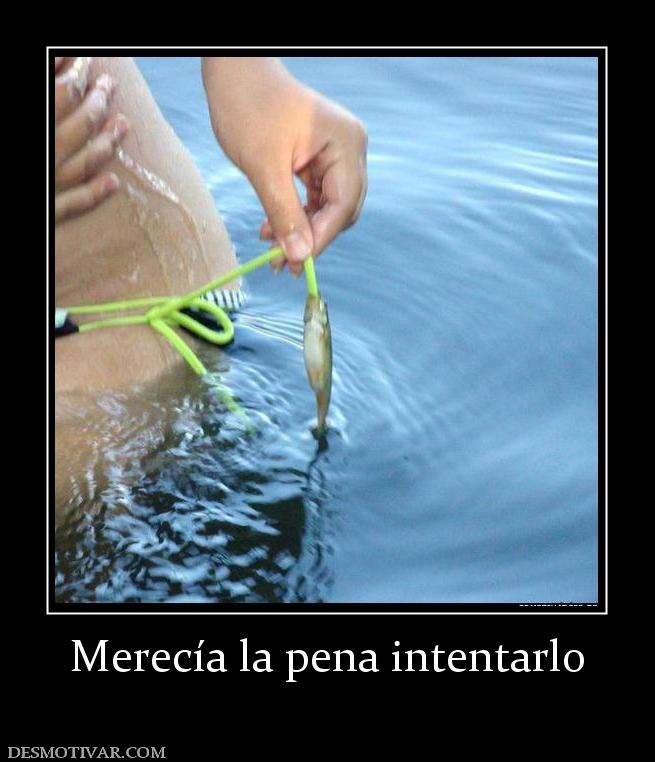 Merecía la pena intentarlo