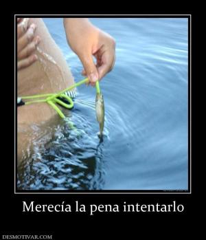 Merecía la pena intentarlo