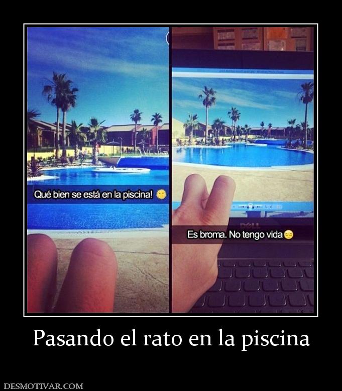 Pasando el rato en la piscina