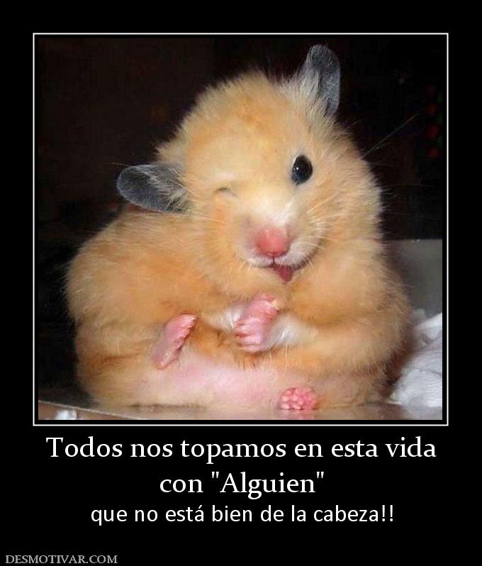 Todos nos topamos en esta vida con  que no está bien de la cabeza!!