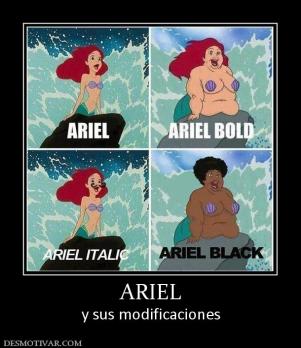ARIEL y sus modificaciones