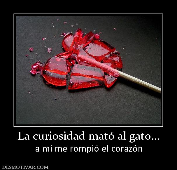 La curiosidad mató al gato... a mi me rompió el corazón