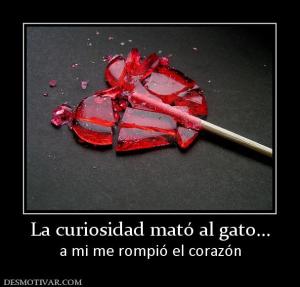La curiosidad mató al gato... a mi me rompió el corazón