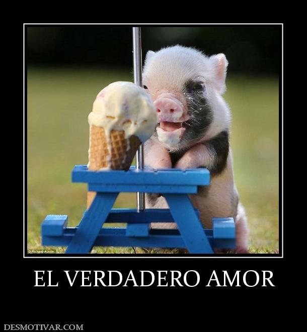 EL VERDADERO AMOR