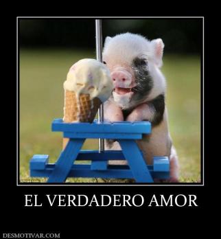 EL VERDADERO AMOR