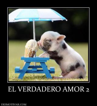 EL VERDADERO AMOR 2