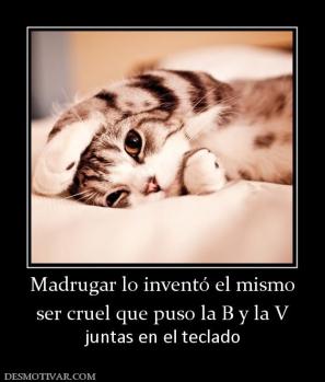 Madrugar lo inventó el mismo ser cruel que puso la B y la V juntas en el teclado