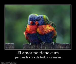 El amor no tiene cura pero es la cura de todos los males