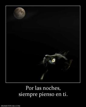 Por las noches, siempre pienso en ti.