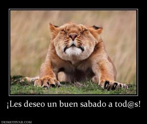 ¡Les deseo un buen sabado a tod@s!