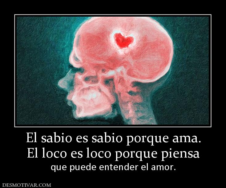 El sabio es sabio porque ama. El loco es loco porque piensa que puede entender el amor.