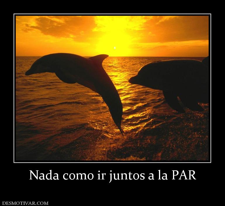 Nada como ir juntos a la PAR