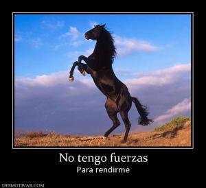 No tengo fuerzas Para rendirme