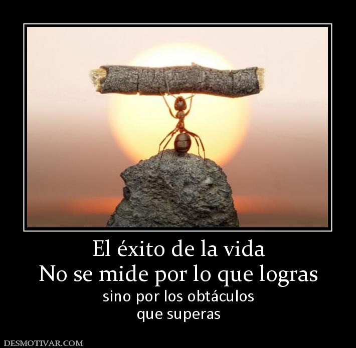 El éxito de la vida No se mide por lo que logras sino por los obtáculos que superas