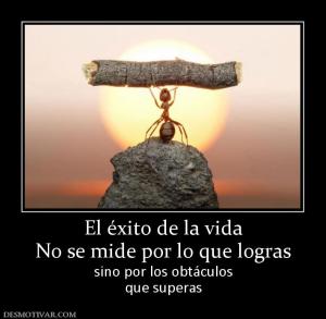 El éxito de la vida No se mide por lo que logras sino por los obtáculos que superas