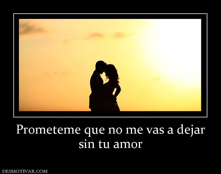Prometeme que no me vas a dejar sin tu amor