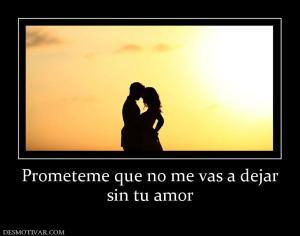 Prometeme que no me vas a dejar sin tu amor