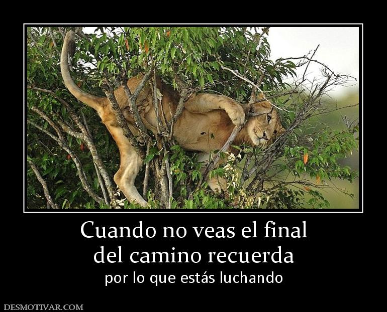 Cuando no veas el final del camino recuerda por lo que estás luchando