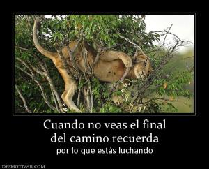 Cuando no veas el final del camino recuerda por lo que estás luchando