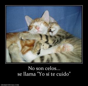 No son celos... se llama