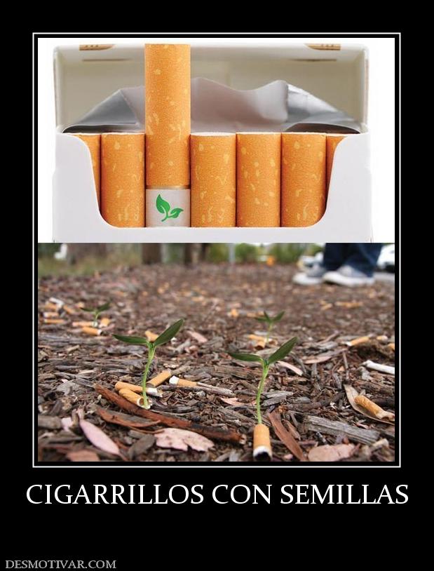 CIGARRILLOS CON SEMILLAS