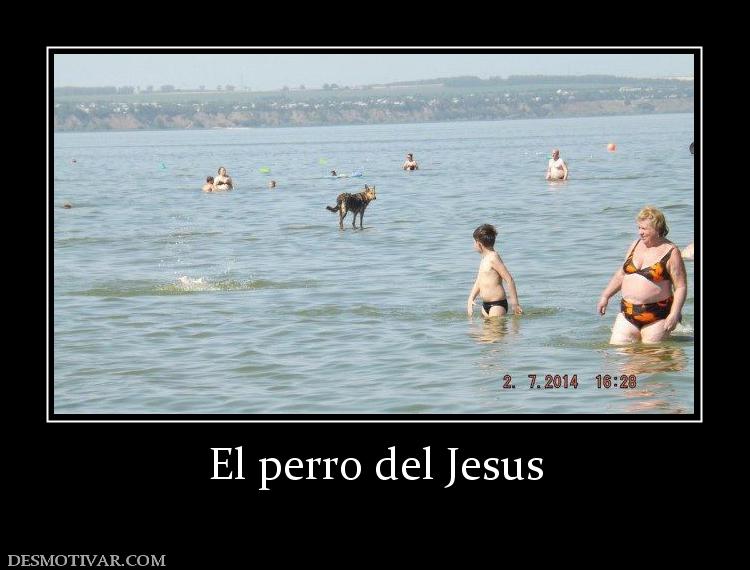 El perro del Jesus