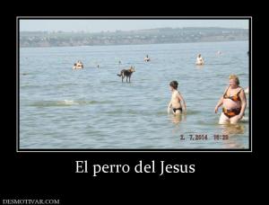 El perro del Jesus
