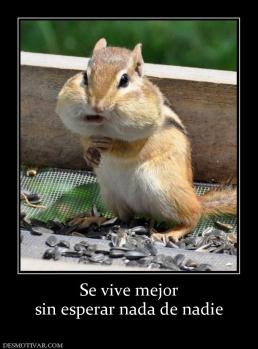 Se vive mejor sin esperar nada de nadie