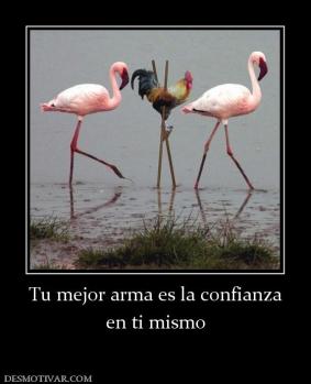 Tu mejor arma es la confianza en ti mismo