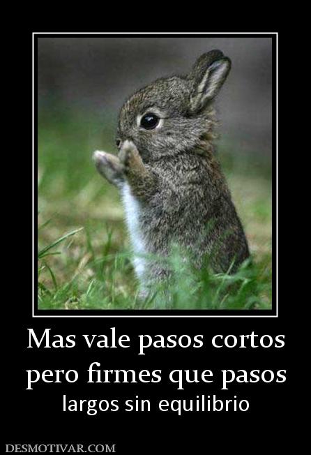 Mas vale pasos cortos pero firmes que pasos largos sin equilibrio