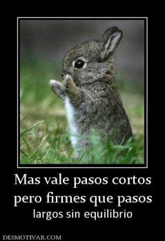 Mas vale pasos cortos pero firmes que pasos largos sin equilibrio
