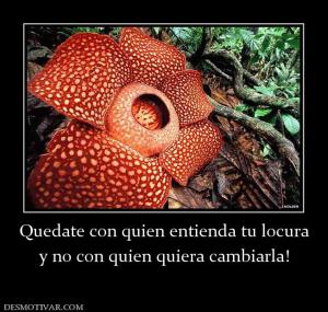 Quedate con quien entienda tu locura y no con quien quiera cambiarla!
