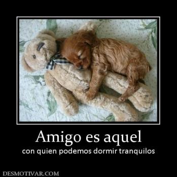 Amigo es aquel con quien podemos dormir tranquilos