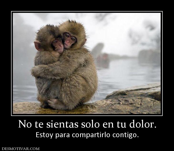 No te sientas solo en tu dolor. Estoy para compartirlo contigo.