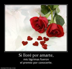 Si lloré por amarte, mis lágrimas fueron el premio por conocerte.
