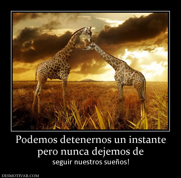 Podemos detenernos un instante pero nunca dejemos de seguir nuestros sueños!
