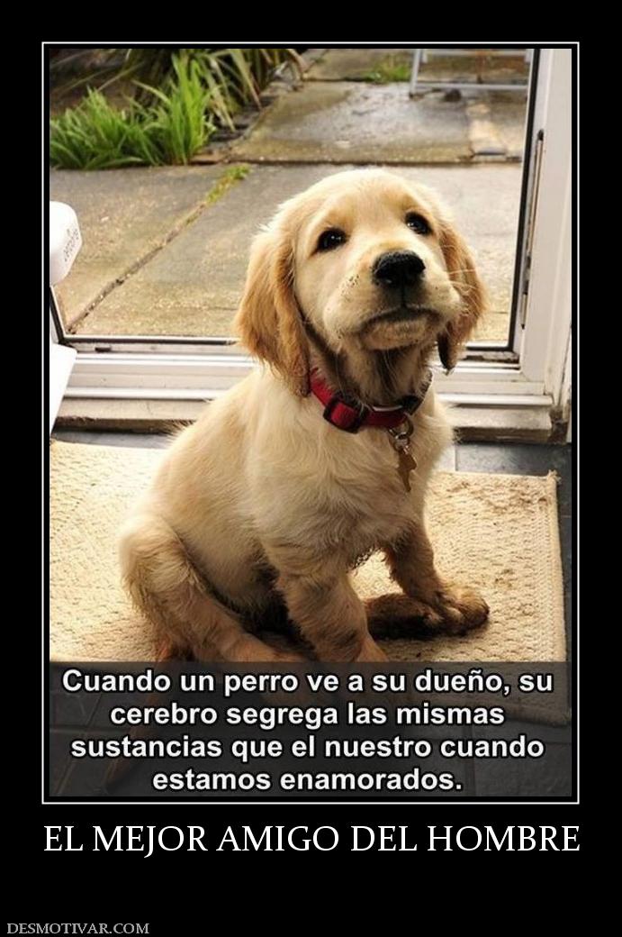 EL MEJOR AMIGO DEL HOMBRE