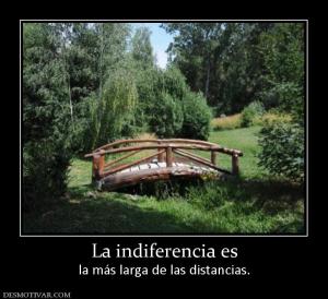 La indiferencia es la más larga de las distancias.