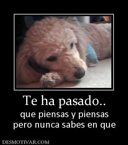 Te ha pasado.. que piensas y piensas pero nunca sabes en que
