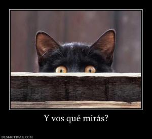 Y vos qué mirás?
