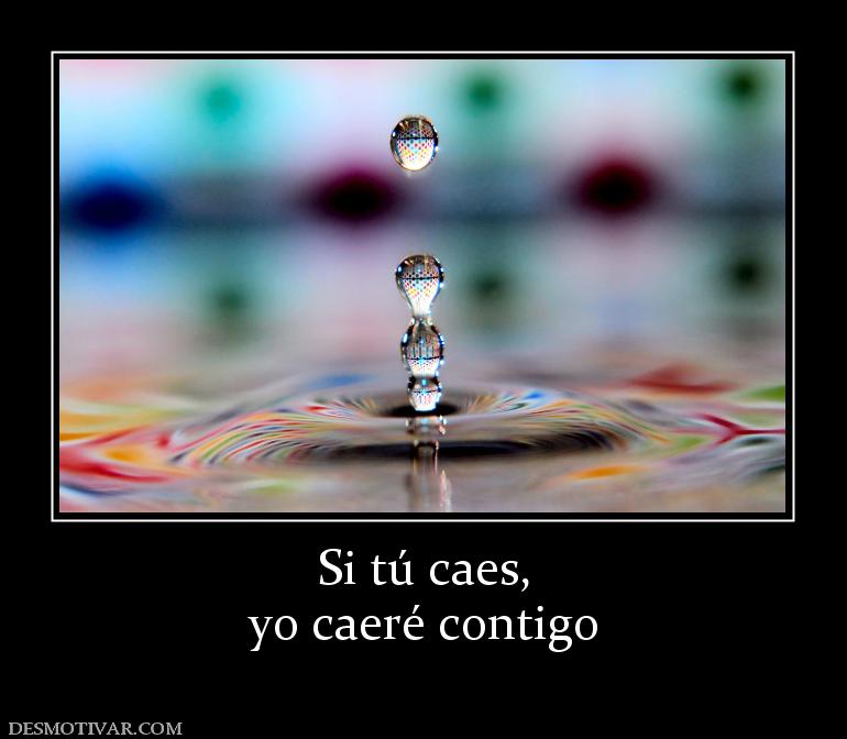 Si tú caes, yo caeré contigo