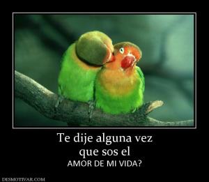 Te dije alguna vez que sos el AMOR DE MI VIDA?