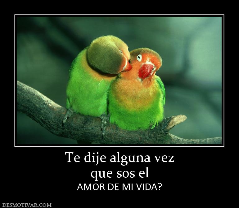 Te dije alguna vez que sos el AMOR DE MI VIDA?