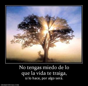 No tengas miedo de lo que la vida te traiga, si lo hace, por algo será.