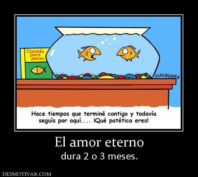 El amor eterno dura 2 o 3 meses.