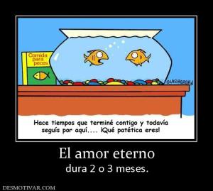 El amor eterno dura 2 o 3 meses.