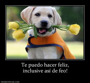 Te puedo hacer feliz, inclusive así de feo!